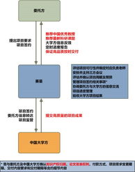 上海赛星软件研发外包服务 合作模式解析与价值共创